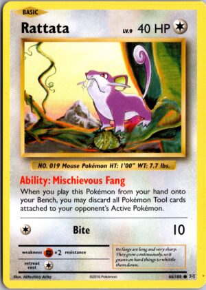 Rattata Common XY - Evolutions 66/108